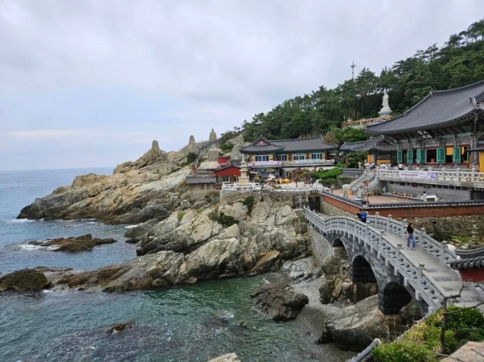 대체텍스트
