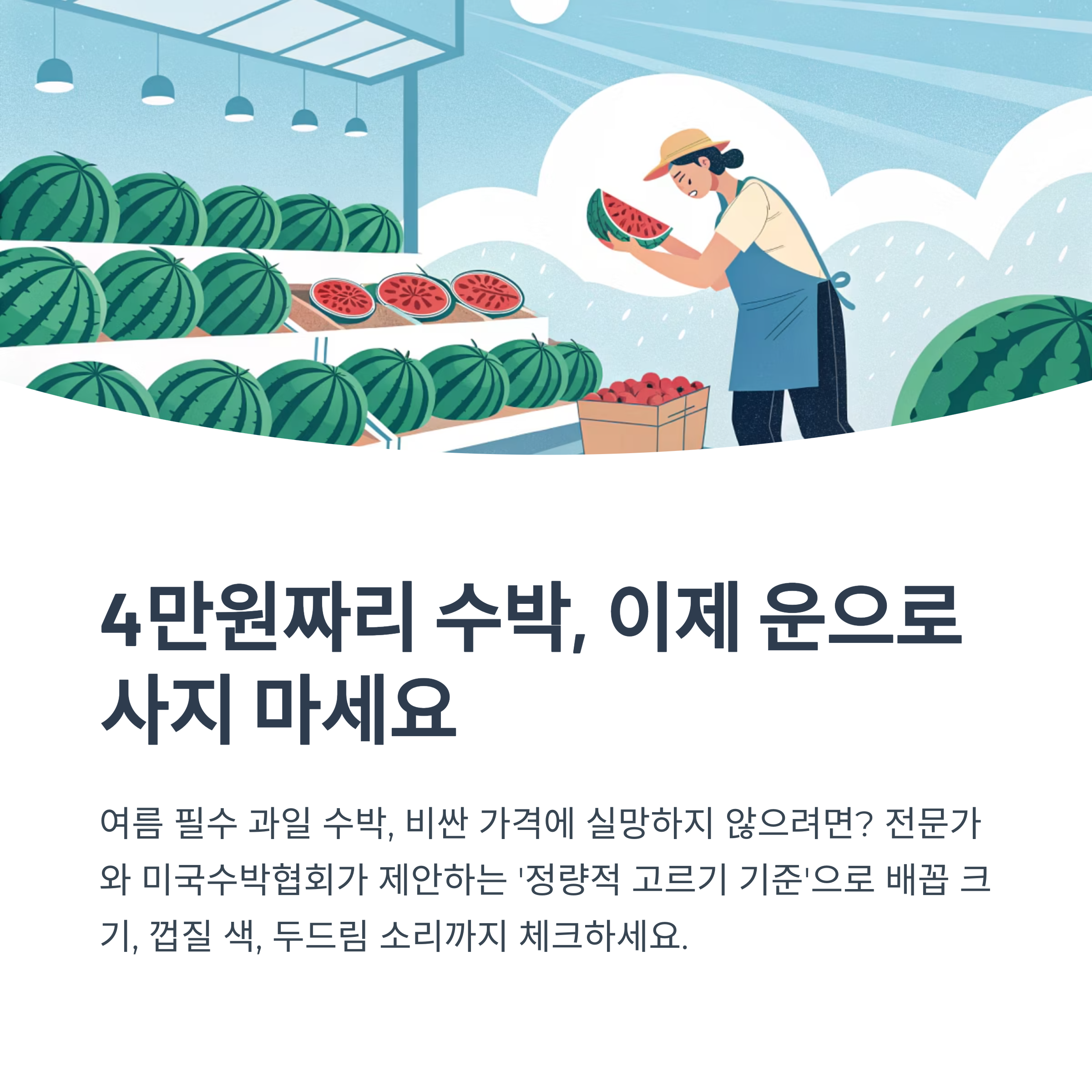 4만원짜리 수박, 이제 운으로 사지 마세요