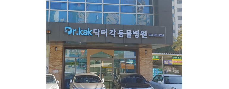 춘천시 동물병원