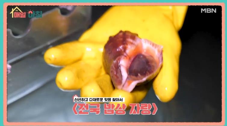 매일아침 전국밥상자랑 참소라 썸네일