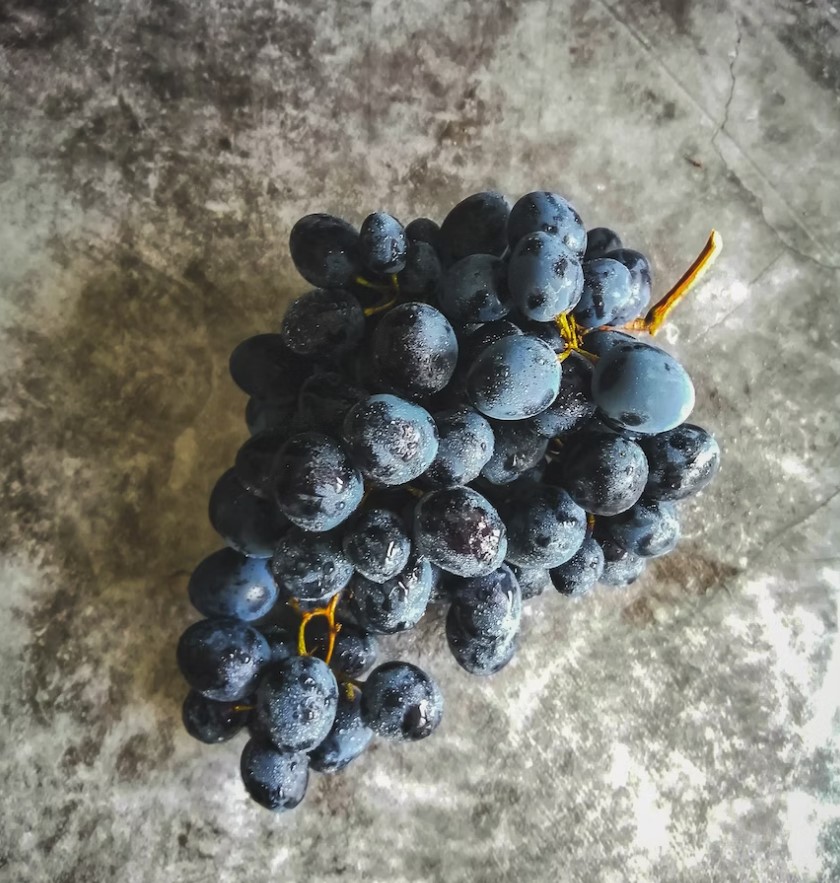 포도 효능 및 부작용