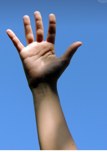 인간의 신체가 스스로 치유하는 놀라운 메커니즘