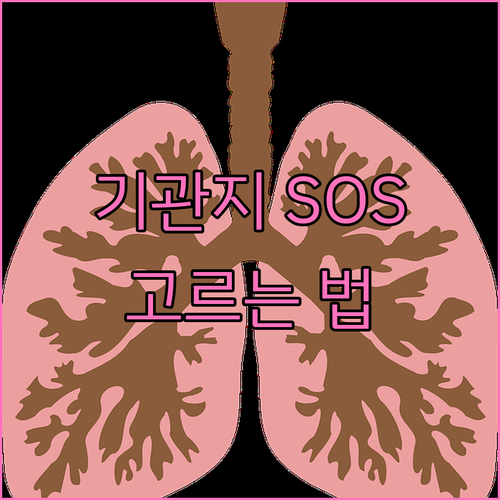 기관지 건강 SOS: 나에게 맞는 건..