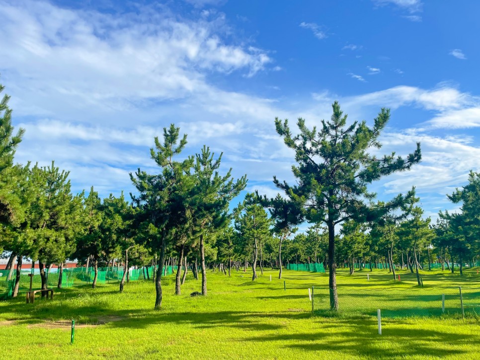 부산	강서구 사암파크골프장 소개