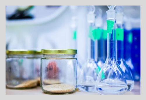 알콜성지방간 식단 가이드