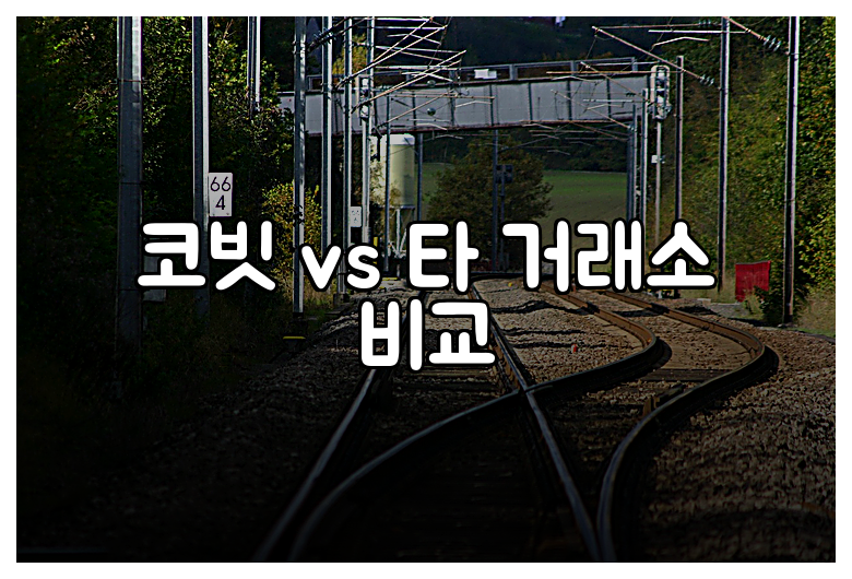 코빗 vs 타 거래소 비교