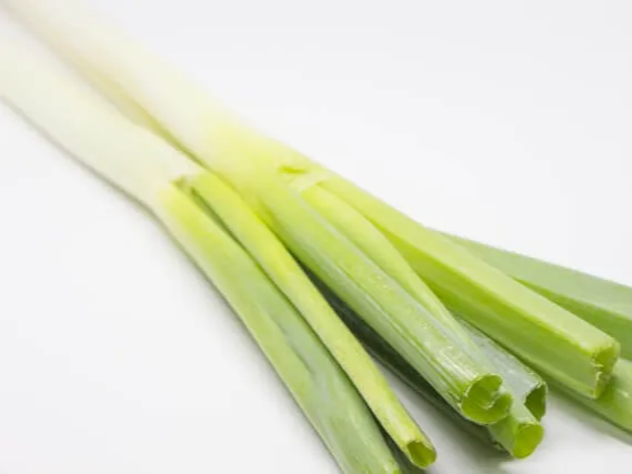 산화 부담을 줄이는 대파