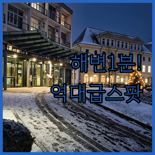 해변 1분 거리부터 루프탑 온수 풀까..