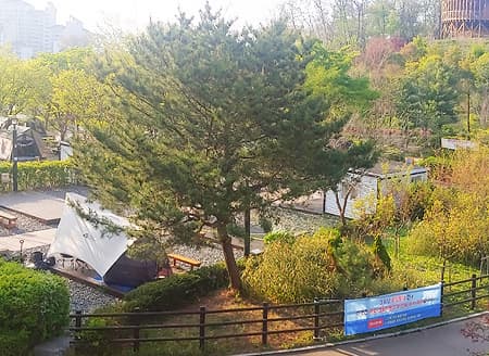 서울·경기 벚꽃캠핑장 추천 ❘ 봄날 감성 가득한 캠핑 명소 6곳