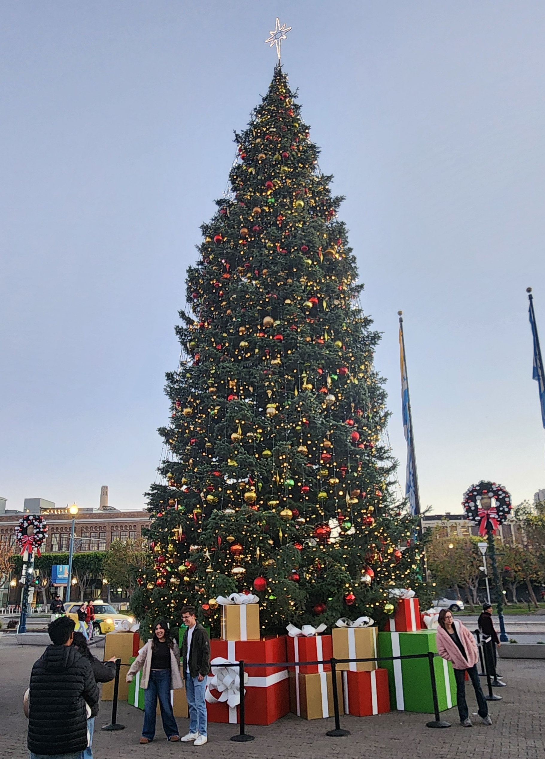 크리스마스트리를 보여주는 이미지