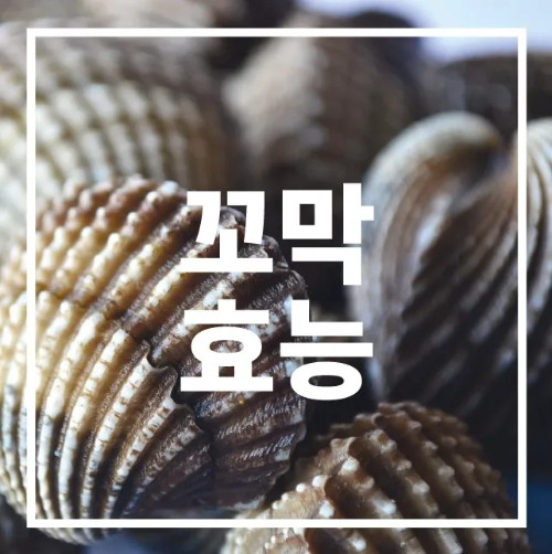 꼬막 효능