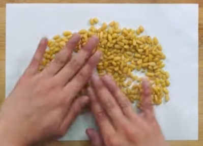 한국의 떡 종류 잣구리-잣고물 만들기