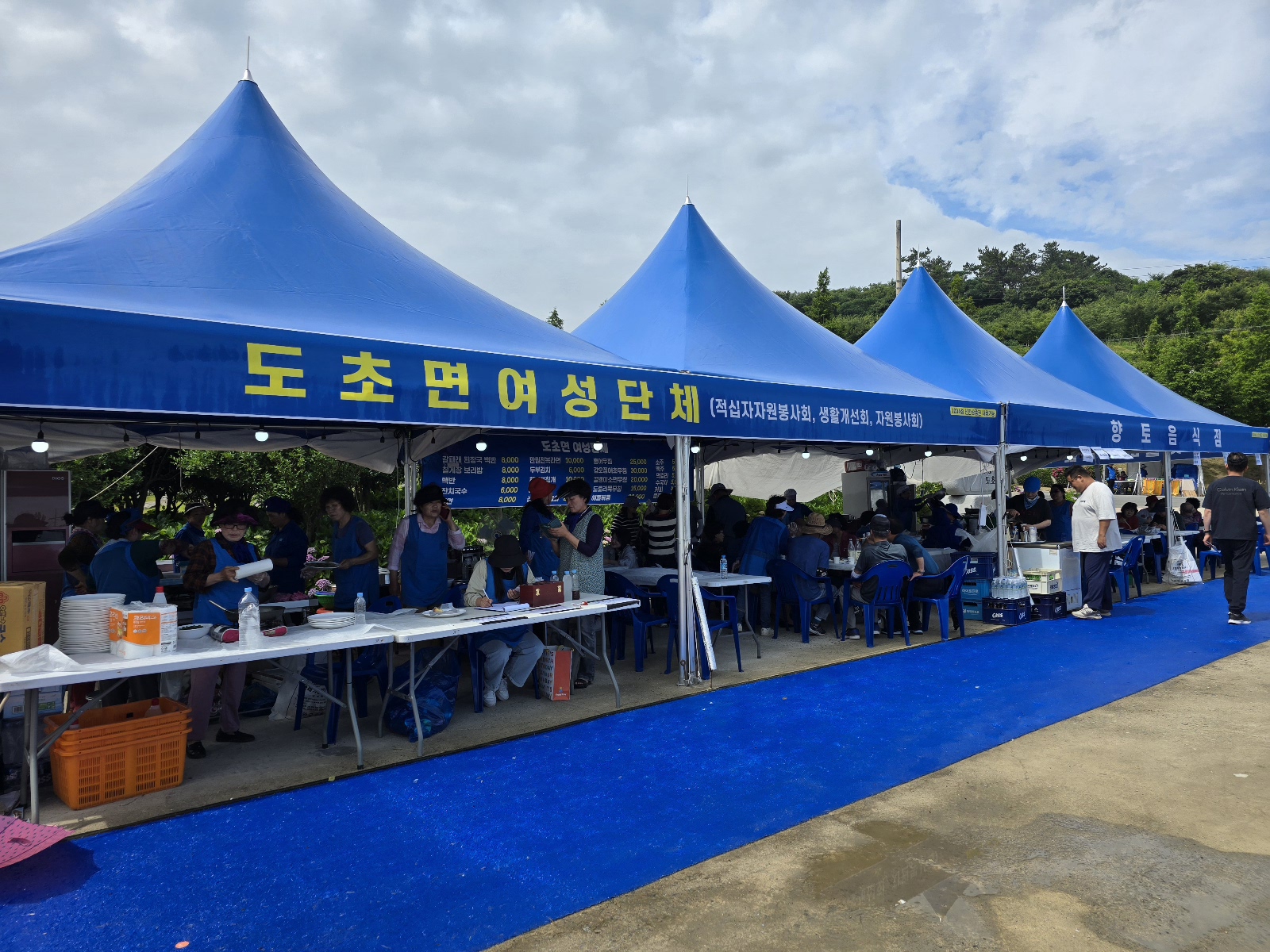 신안수국축제