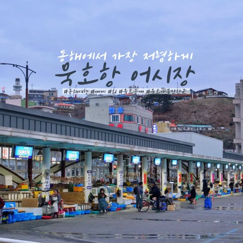 묵호항 배시간표 배편 요금 예약_2