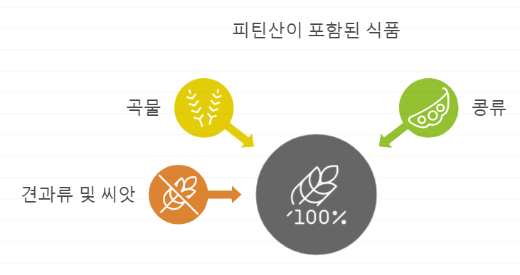 피틴산 함유 음식