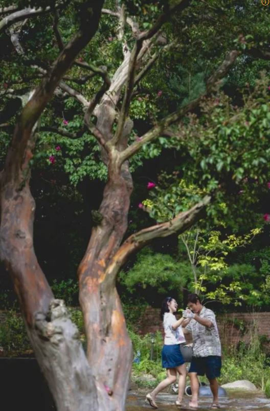 박찬욱 신작 어쩔수가 없다 이병헌 손예진