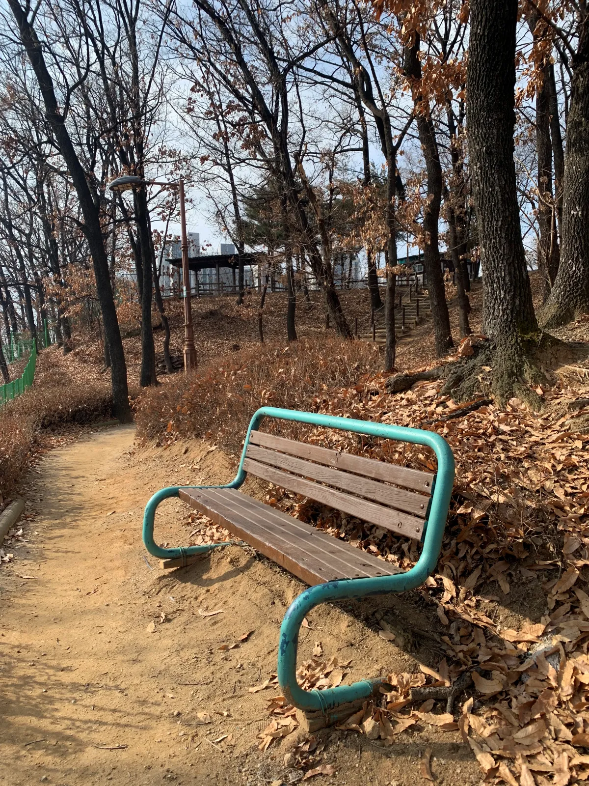 공원-산책로-벤치