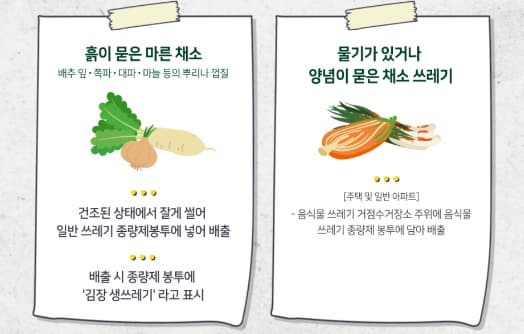 파뿌리-쓰레기-버리는-법