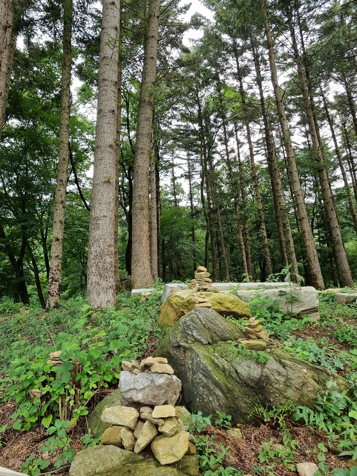 서울근교 파주 계곡 보광사: 문화, 역사, 자연이 있는 절과 물놀이하기 좋은 계곡