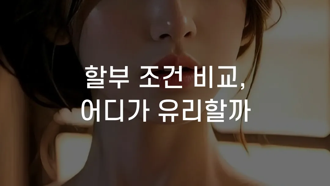 할부 조건 비교, 어디가 유리할까