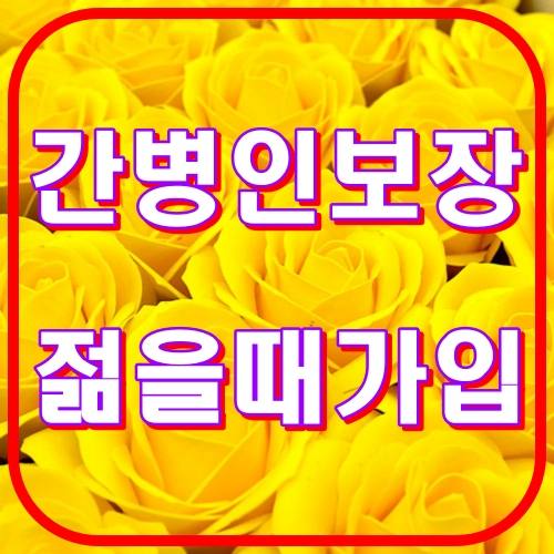 간병인보장 젊을때 가입