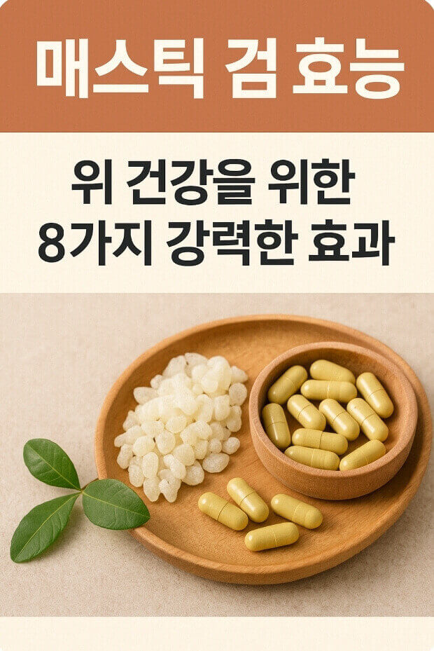 매스틱검 효능