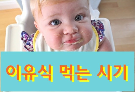 이유식 시작 시기