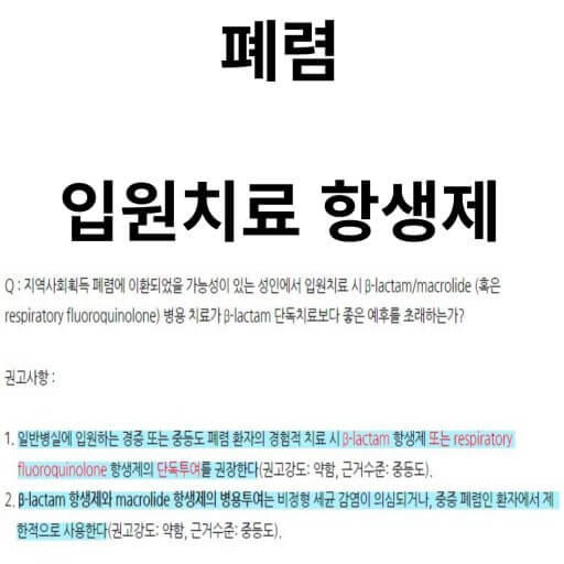 폐렴의 치료
