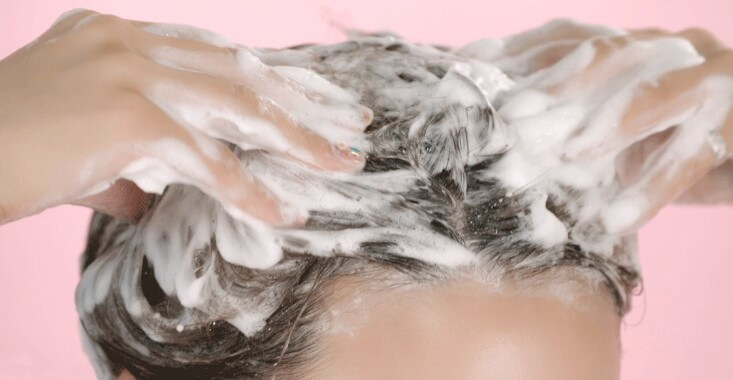 노세범 샴푸 방법 따라하기