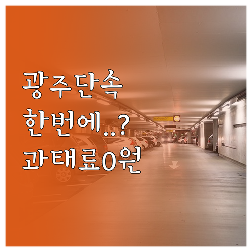 광주광역시 주정차 단속 알림 서비스 ..