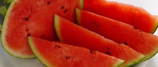 올팜 맞팜 친구 맺기