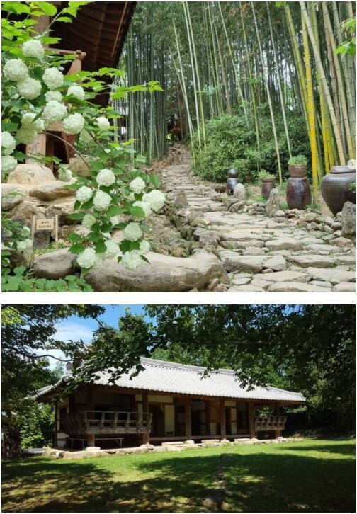 구례 쌍산제 대나무길과 고택