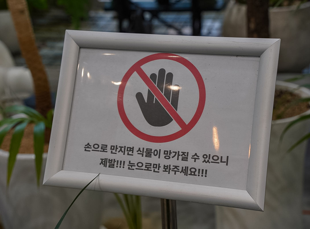 화성로컬 플라워 손으로 만지지 마세요