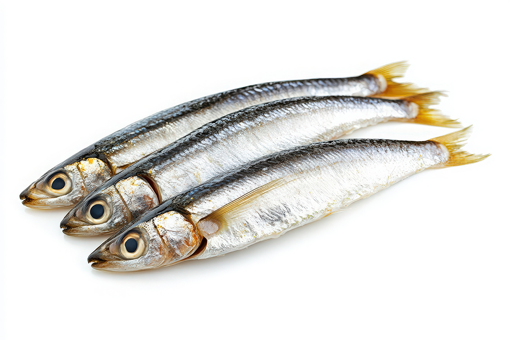 골다공증에 좋은 음식