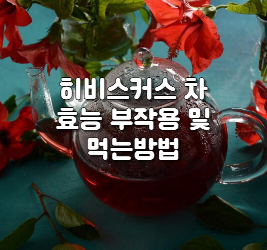 히비스커스 차 효능 부작용 및 먹는방법