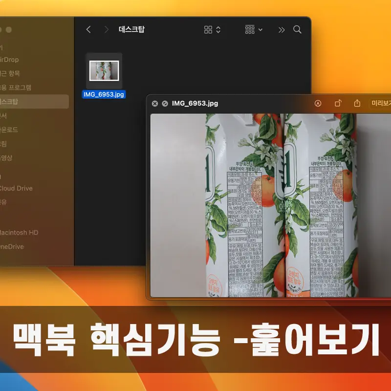 Mac을 진정 맥답게 만드는 기능 - 훑어보기
