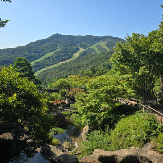 화담숲 모노레일 예약방법