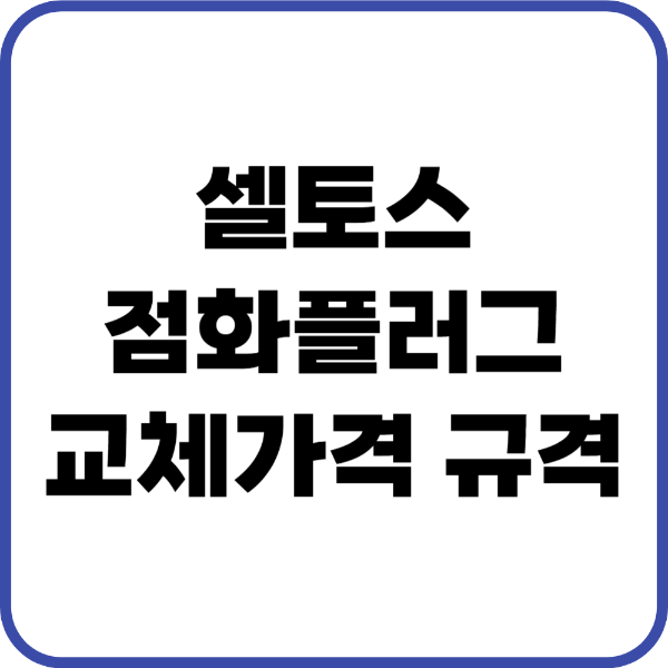 셀토스 점화플러그