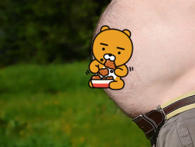 내장지방 빼는법 정상수치 인바디 검사
