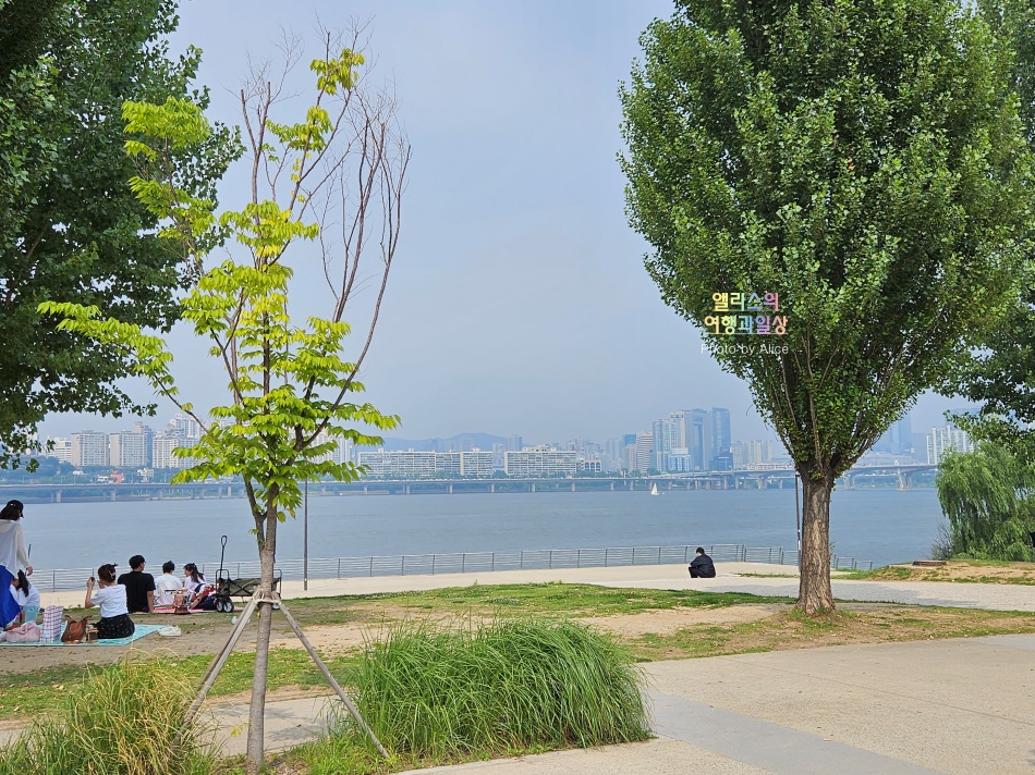 여의도 한강공원 피크닉 텐트 데이트 대여 후기 가격