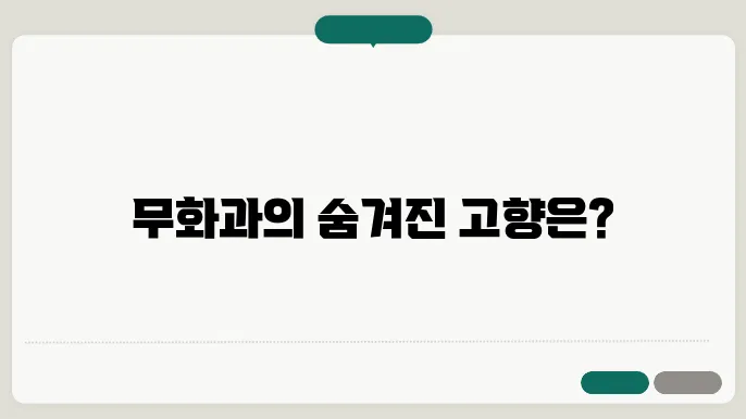 무화과 원산지