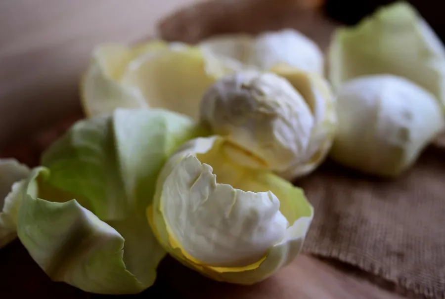 속 쓰림에 좋은 음식 종류 - 7