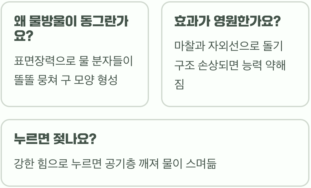 연꽃 잎에 물이 젖지 않는 이유, 신기한 연잎 효과(Lotus effect)의 과학 원리