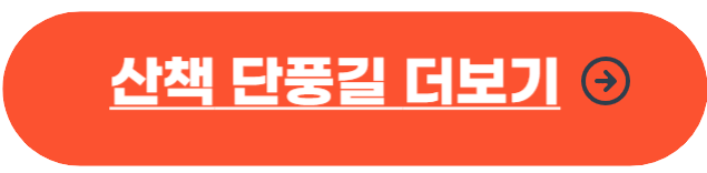 서울 단풍 명소