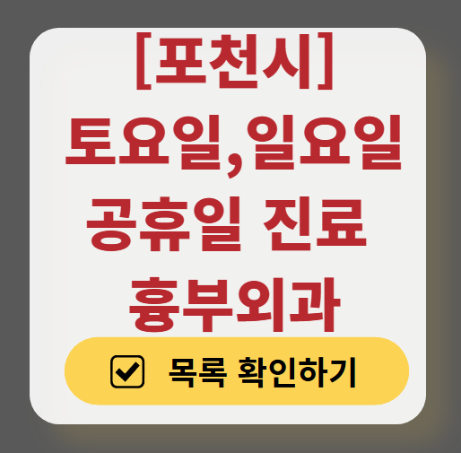 포천시 주말 토요일 일요일 흉부외과 내과 진료 병원 목록 ❘ 공휴일 진료 영업 병원 리스트 찾기
