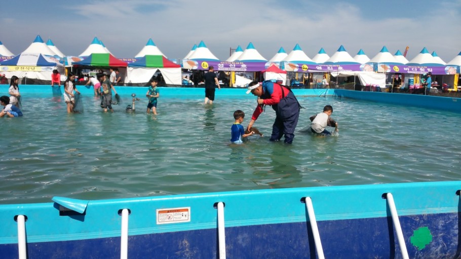 서천 동백꽃 주꾸미 축제
