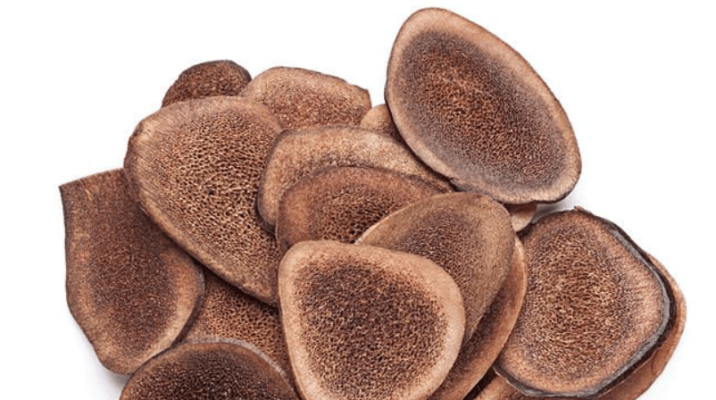 녹용 효능 부작용