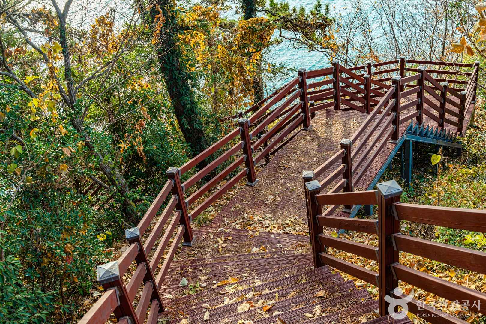 고흥 영남용바위