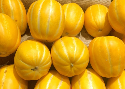 참외는 대표적인 차가운 성질의 음식이다