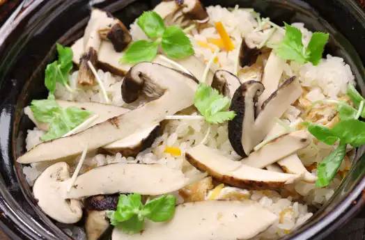 송이버섯 가격 및 효능 효과 먹는방법